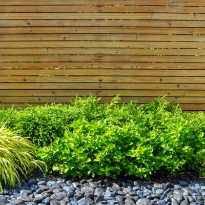 Cedar Fencing Company Bracknell