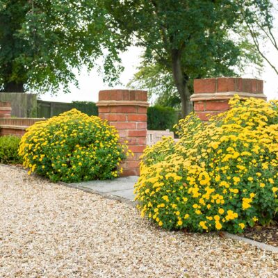 Gravel Driveway and paths Bracknell